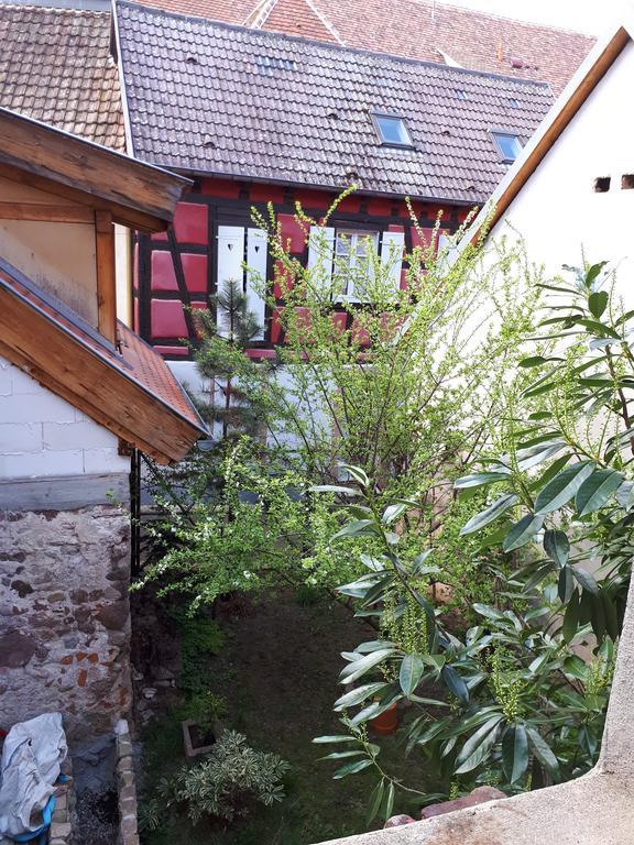 Chez Noah Le Vigneron Appartement Ribeauvillé Buitenkant foto